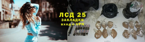apvp Валдай