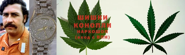 apvp Валдай