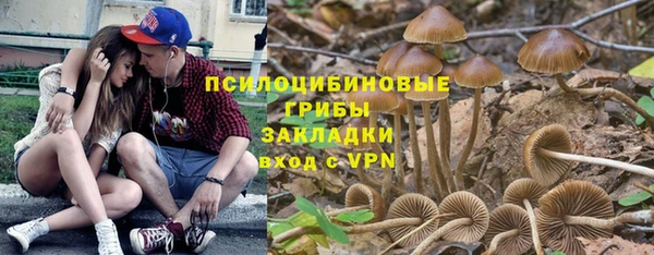твердый Алексеевка
