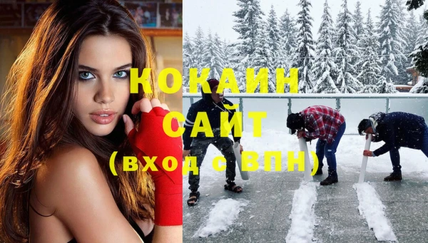 apvp Валдай