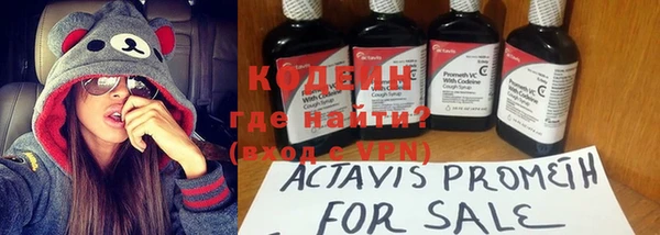 apvp Валдай