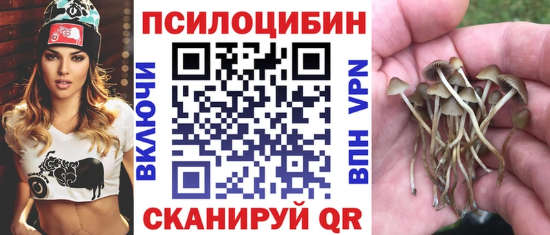 Галлюциногенные грибы Magic Shrooms  ОМГ ОМГ вход  Красновишерск 